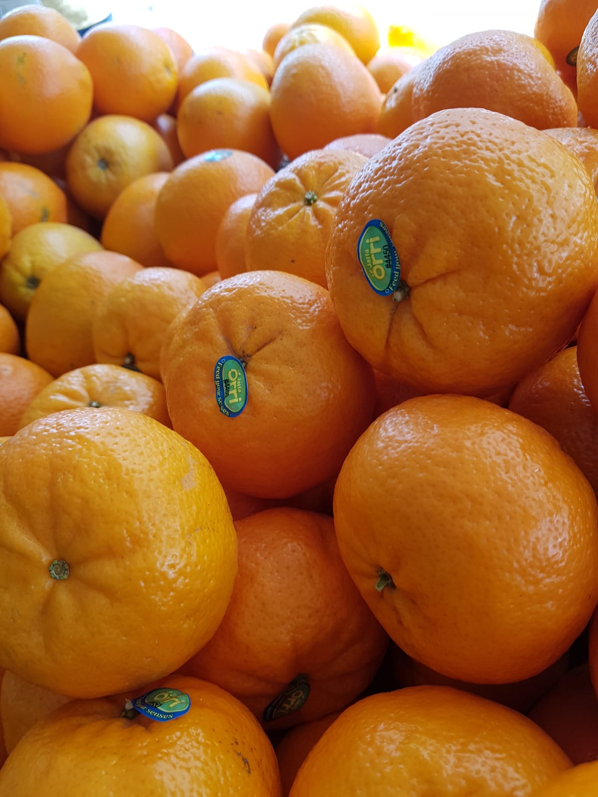 WhatsApp Image 2020-04-19 at 7.02.43 PM.jpeg.jpeg